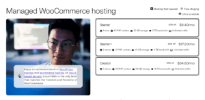 Managed WordPress and WooCommerce Hosting: